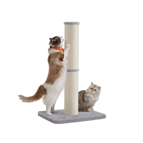 Feandrea Kratzbaum, 85 cm hoch, Kratzsäule...