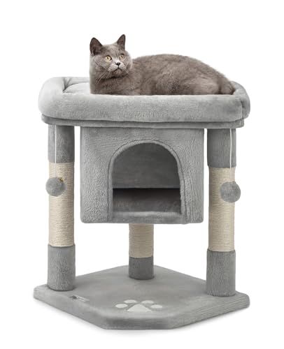 lionto Kratzbaum für Katzen mit Höhle & 2...