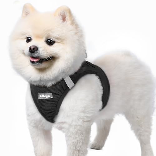 rabbitgoo Hundegeschirr Kleine Hunde, Step-in...