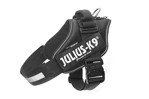 Julius K9 16IDC-P-1 IDC-Powergeschirr mit...