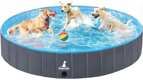 Hundpools Für Hunde Große & Kleine, Hund...