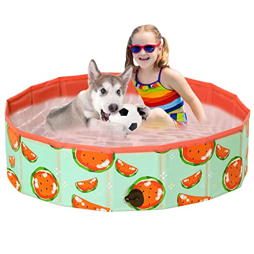 Demigreat Hundepool fur Große Kleine...