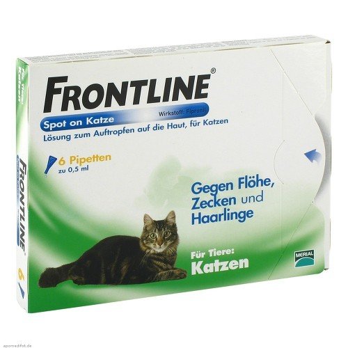 Die 5 besten Flohmittel für Katzen TIERISCHSPASSIG