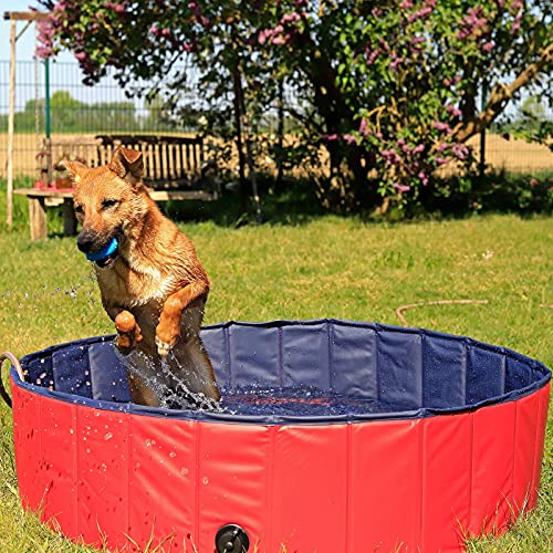 lionto Hundepool faltbar aus kratzfestem...